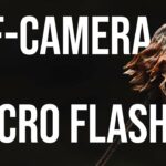 How to Use Off-Camera Flash with Macro Nature Photos