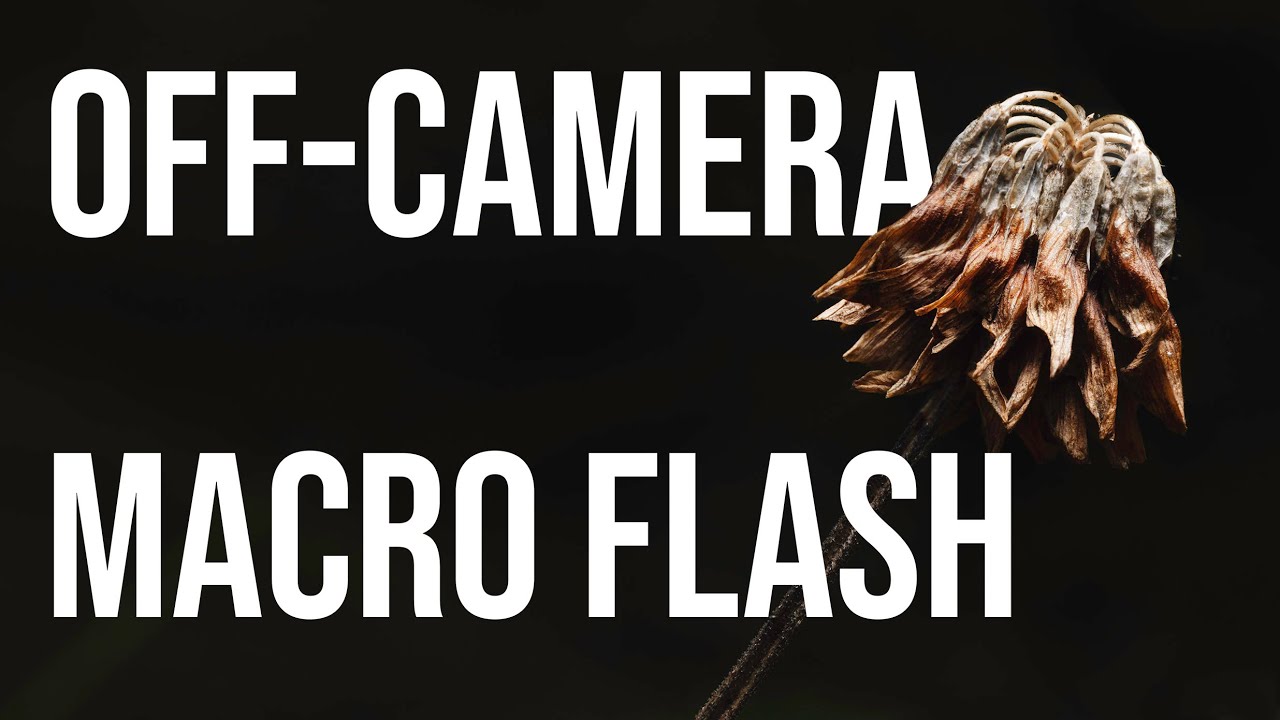 How to Use OffCamera Flash with Macro Nature Photos