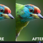 Topaz Photo AI Image Quality Editor