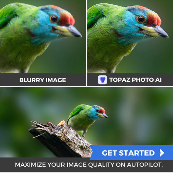 New: Topaz Photo AI Editor for Image Quality