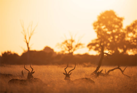 sunrise exposure