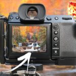 Fall Photography Tips from Planning to Editing