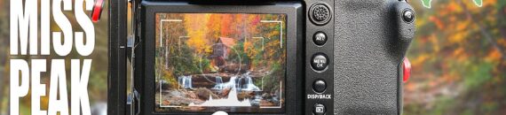 Fall Photography Tips from Planning to Editing