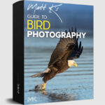 New: Bird Photography Guide