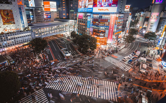 pedestrian crossing photo