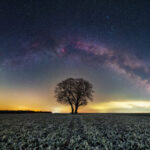 Embracing the Horizon: Knowing When to Use a Panorama Stitcher