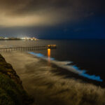 How to Photograph Bioluminescence