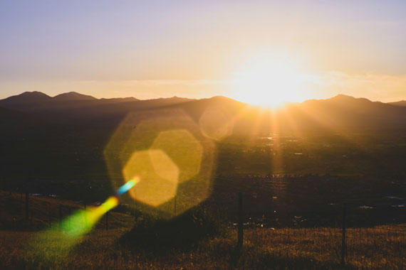 Lens Flare: From Accidental to Artistic in Photography