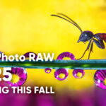 ON1 Photo RAW 2025 Coming This Fall